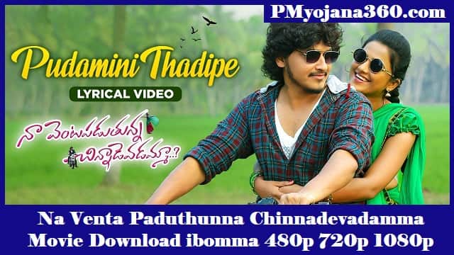 Na Venta Paduthunna Chinnadevadamma Movie Download ibomma 480p 720p 1080p